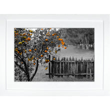 Load image into Gallery viewer, Framed Fine Art Print, NOLA Photography, Orange Tree &amp; Fence
