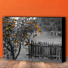 Load image into Gallery viewer, Fine Art Canvas Print, New Orleans Photography, Orange Tree &amp; Fence
