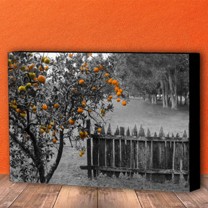 Fine Art Canvas Print, New Orleans Photography, Orange Tree & Fence