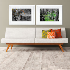 Framed Fine Art Print, NOLA Photography, Orange Tree & Fence
